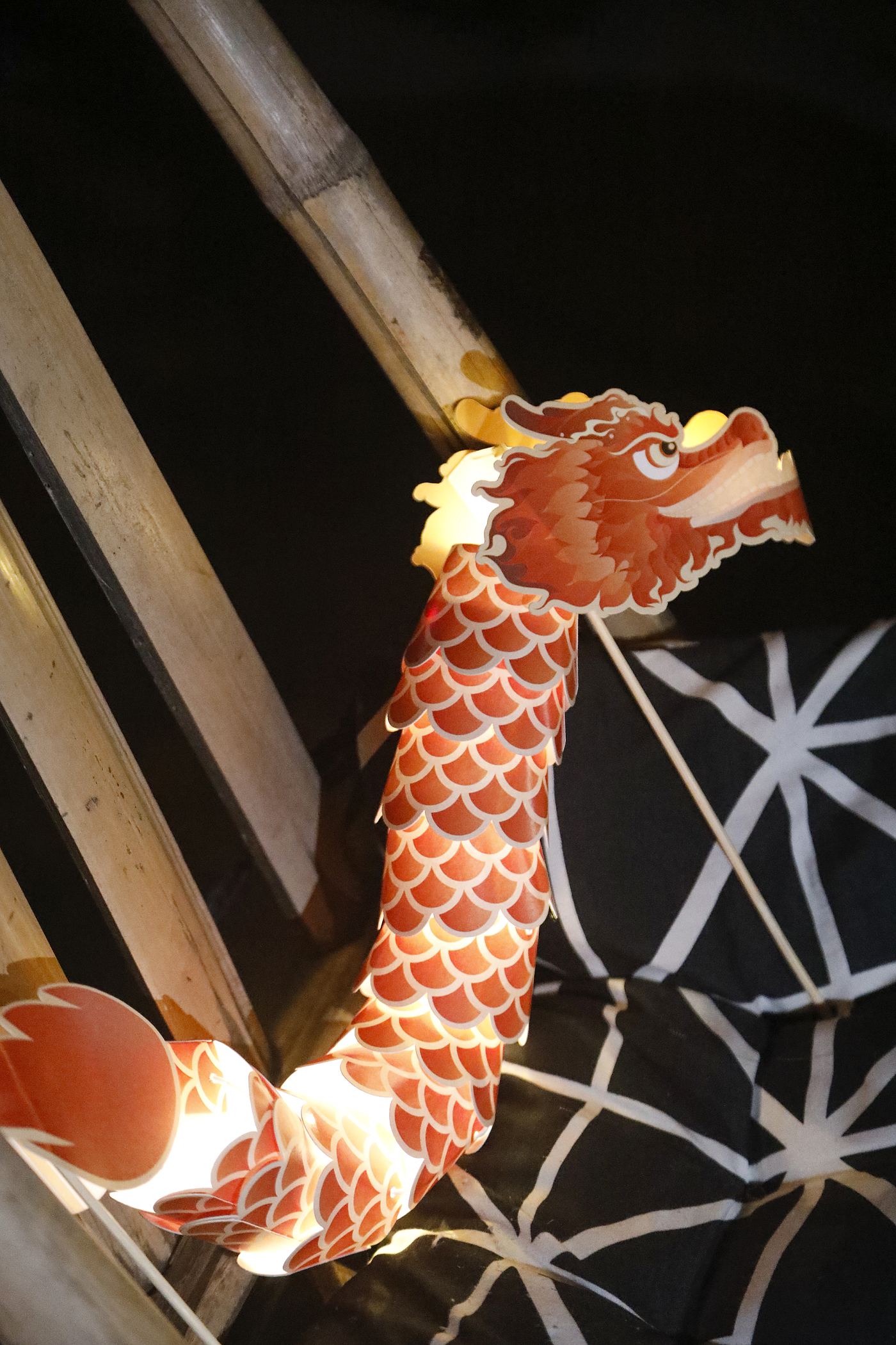 Dragon Dance，New Year gift，Year of the Dragon，manual，