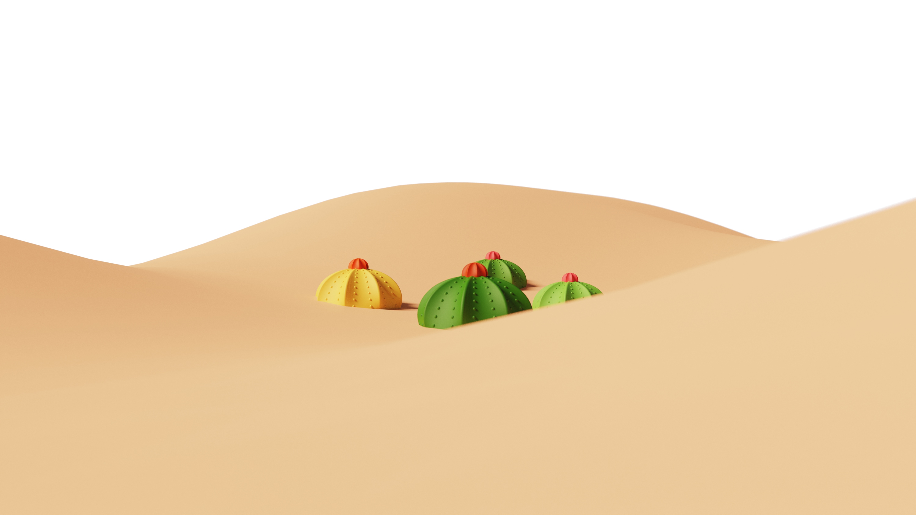 Cactus，Shampoo brush，