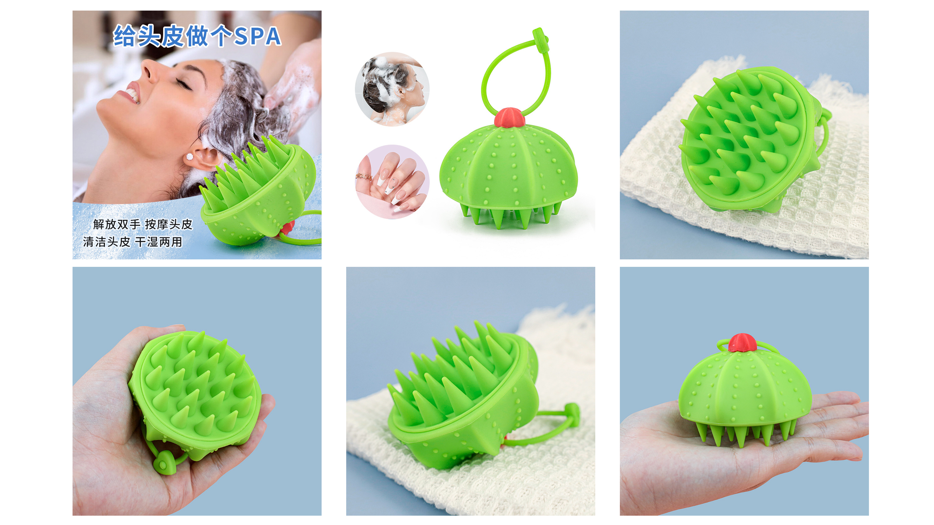 Cactus，Shampoo brush，