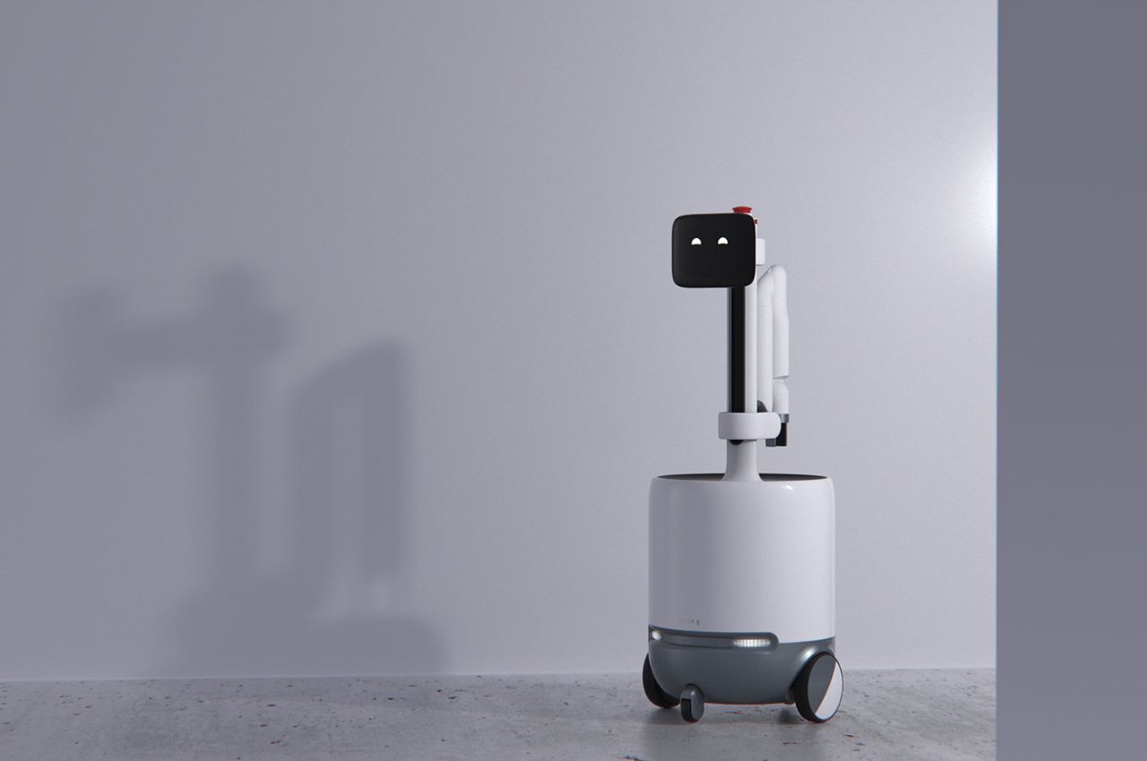 Emotional design，robot，technology，