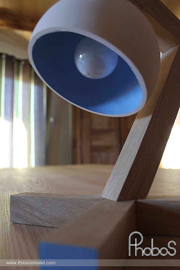 rhinoceros，elephant，giraffe，Toys，Ornaments，magnet，wood，Movable，Desk lamp，lamps and lanterns，Bedside lamp，rubber string，Control intensity，Mortise and tenon，