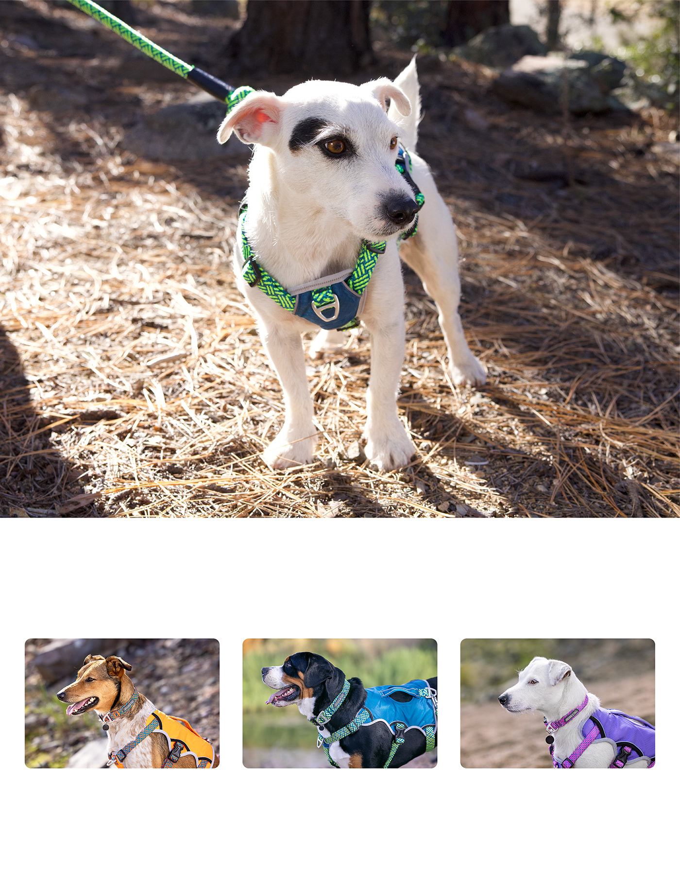 Arcadia Trail，clothes，Fiber Rope，waterproof，