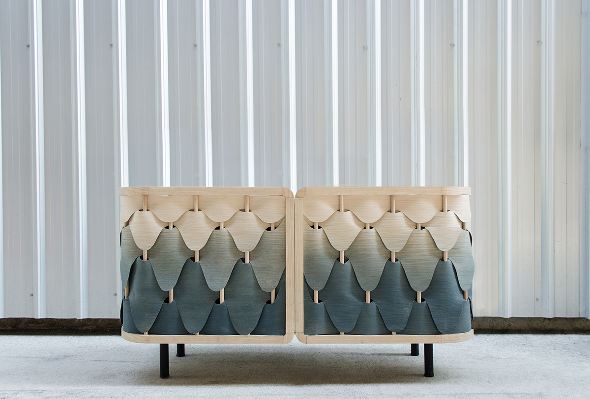 cabinet，modelling，Feather inspiration，