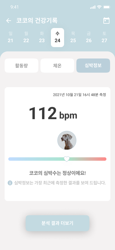 Pets，it，product design，product，LUHearty，Design，