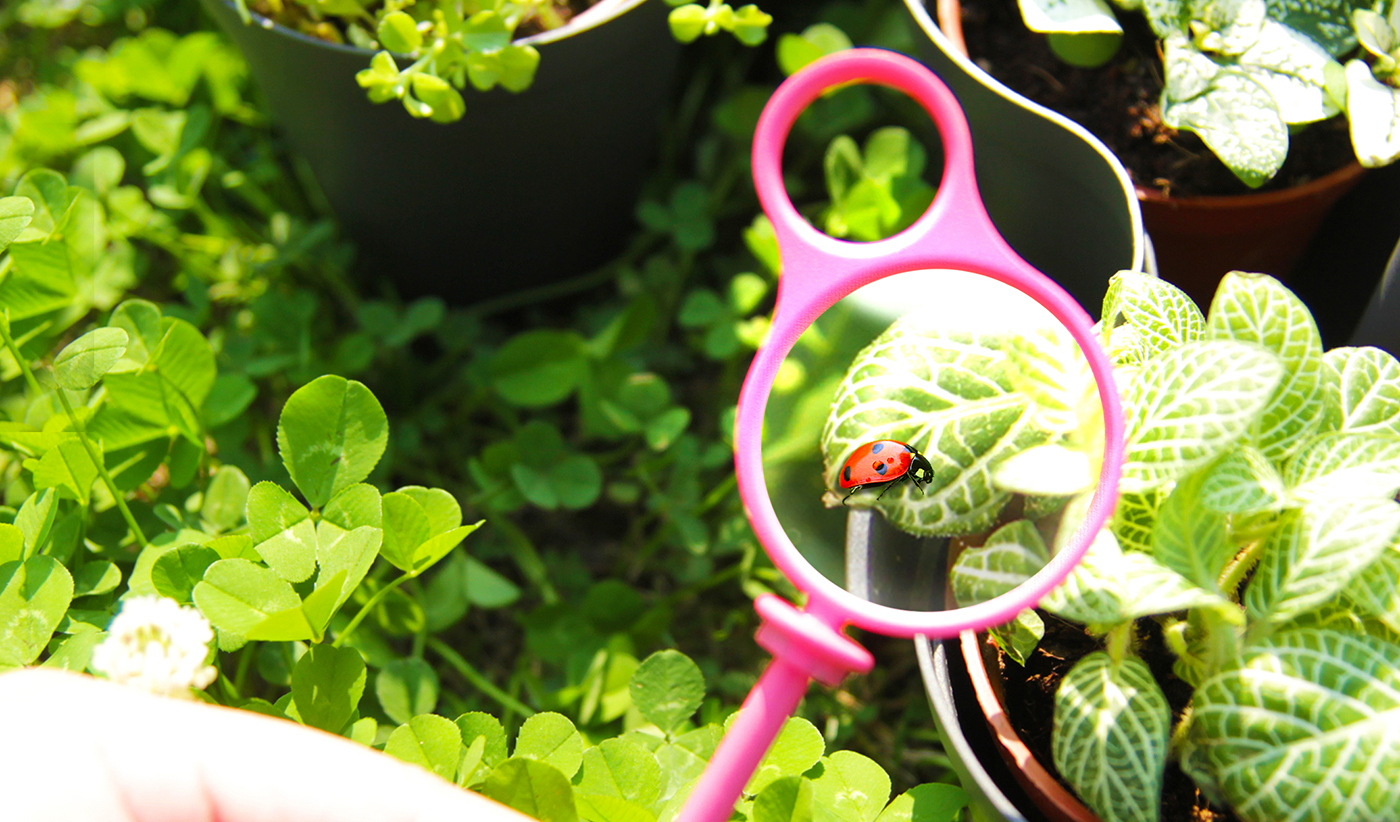Flowerpot，tool，gardening，product design，industrial design，2014 red dot award，