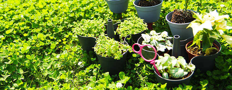 Flowerpot，tool，gardening，product design，industrial design，2014 red dot award，