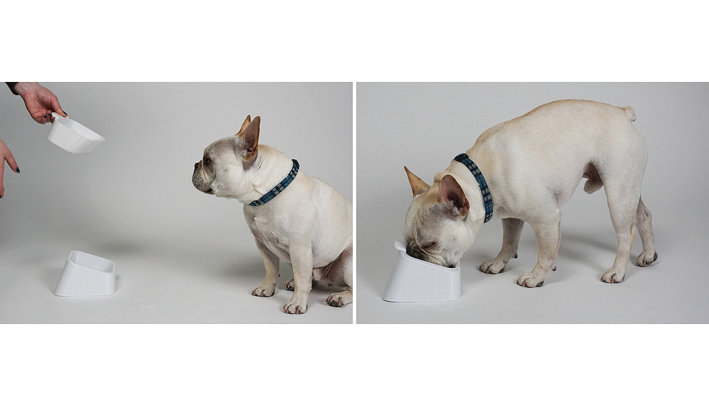 Pocket-portable dog bowl，Neil Duval，