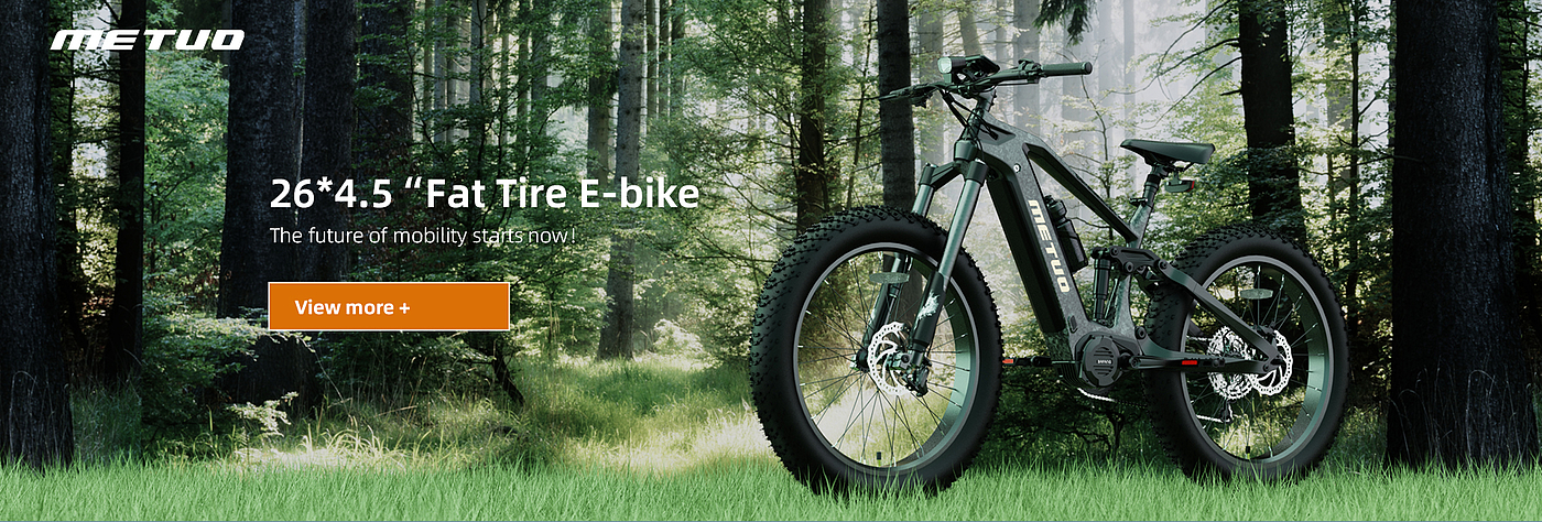 eBIKE，自行车，户外运动，碳纤维，