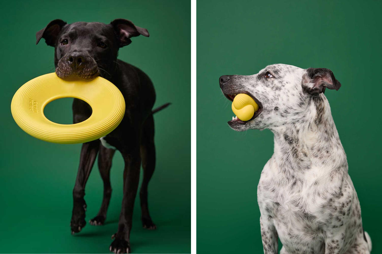 bite，Natural rubber，Earth Rated，layer，