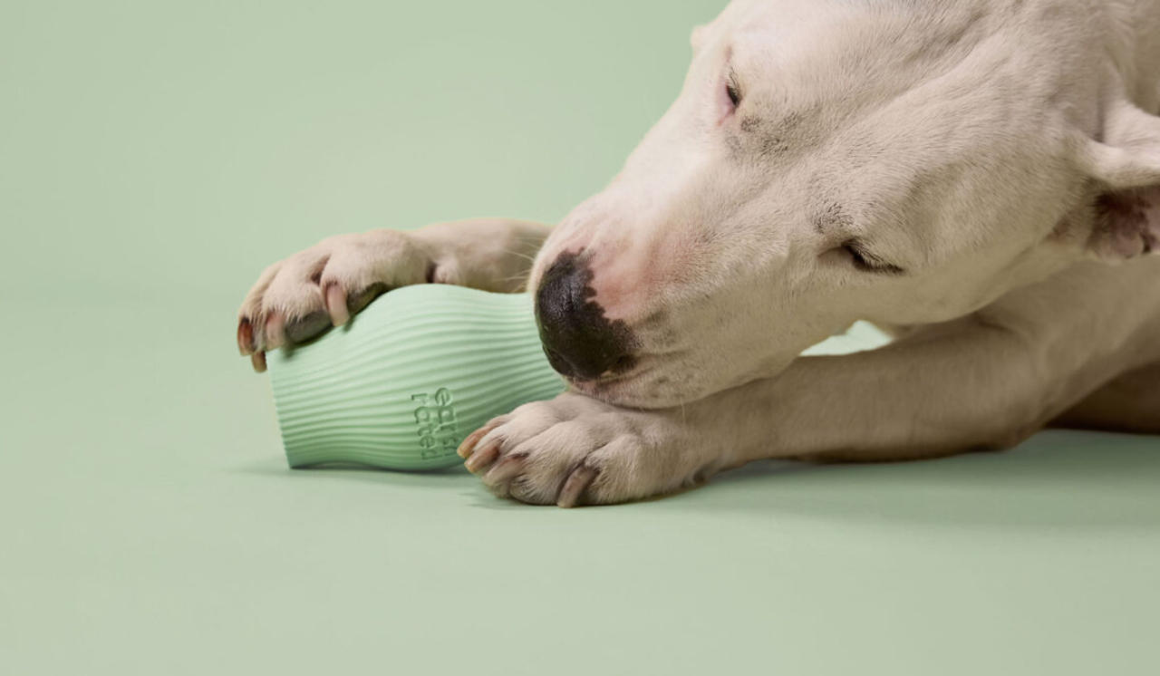 bite，Natural rubber，Earth Rated，layer，