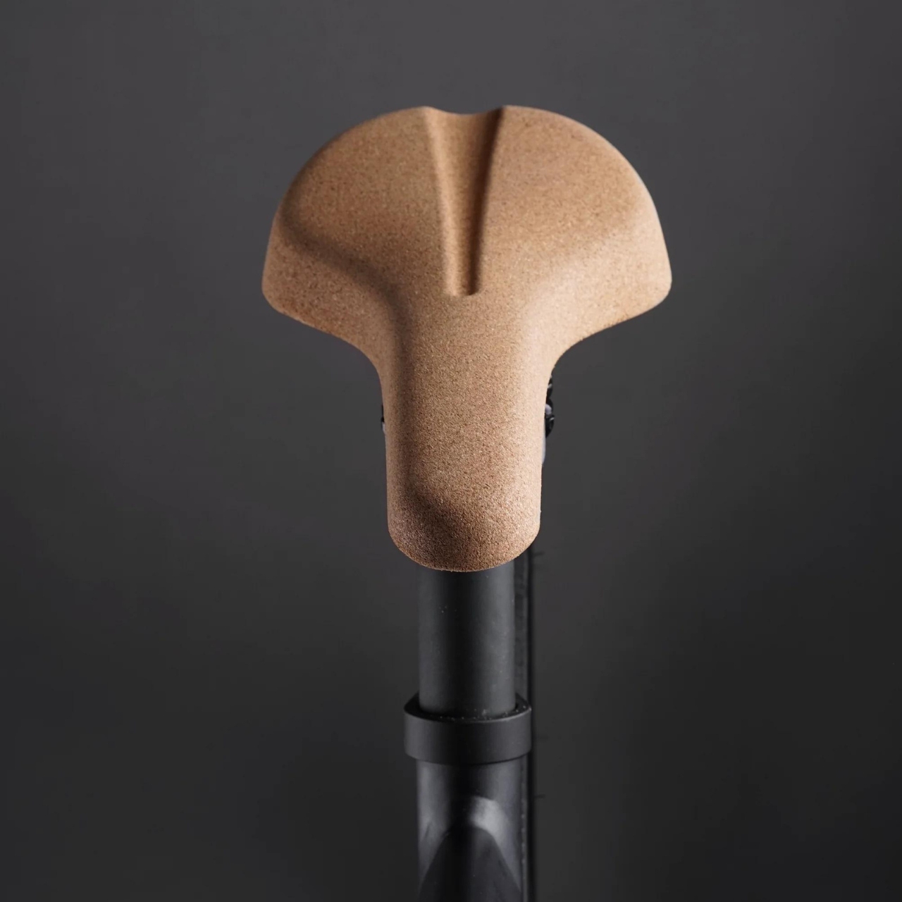 Bicycle，Cushion，product design，product，design，cork，