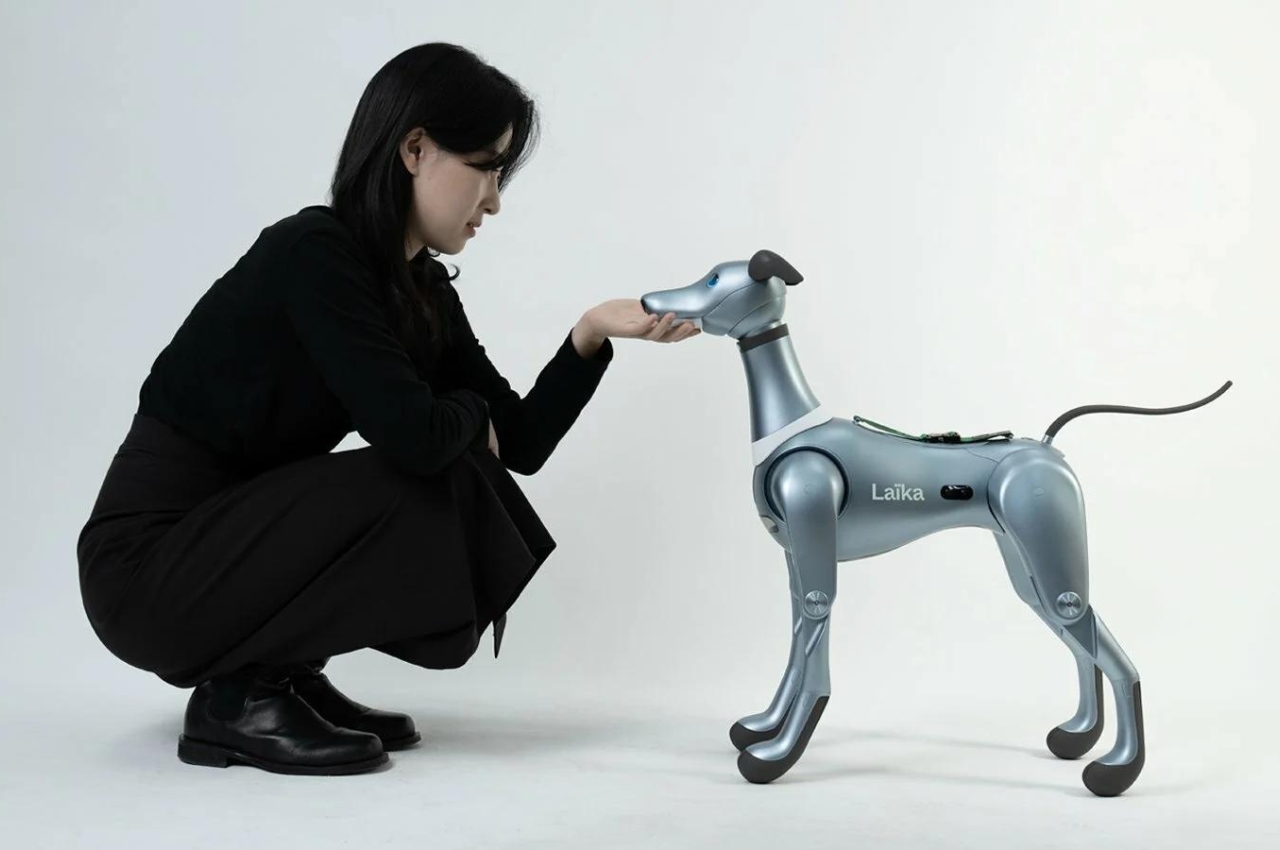 artificial intelligence，Robot dog，Partner，