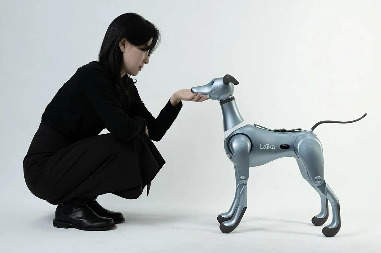 人工智能，机器狗，伙伴，
