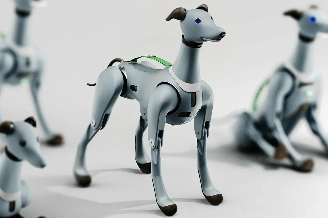 artificial intelligence，Robot dog，Partner，