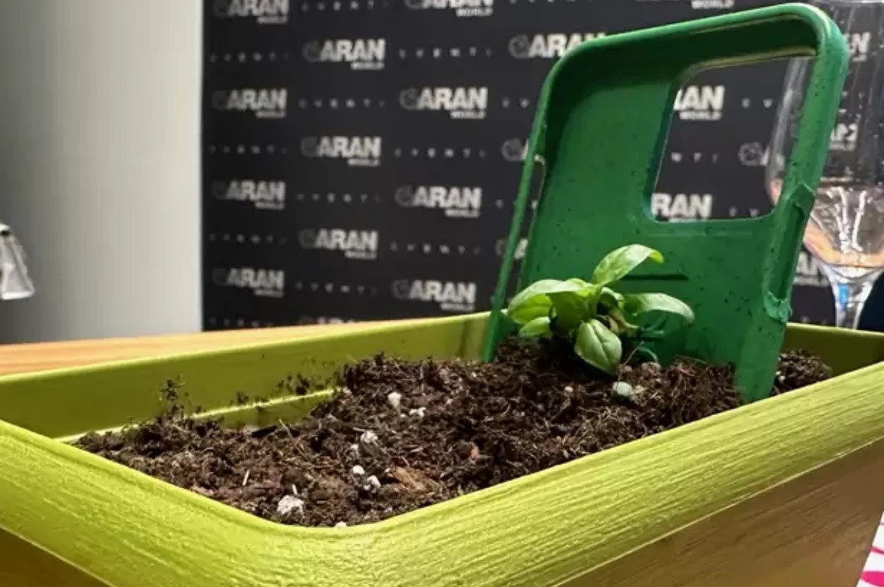 Mobile phone shell，compost，plant，Potted plants，