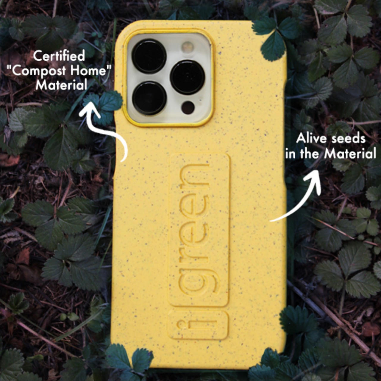 Mobile phone shell，compost，plant，Potted plants，