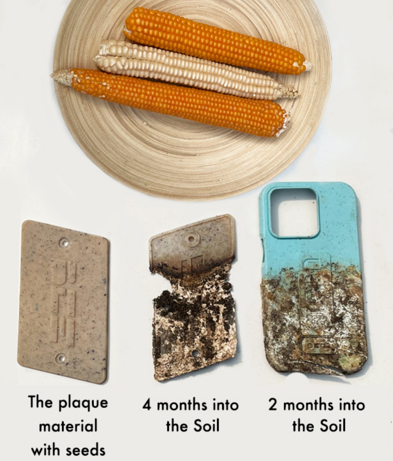 Mobile phone shell，compost，plant，Potted plants，