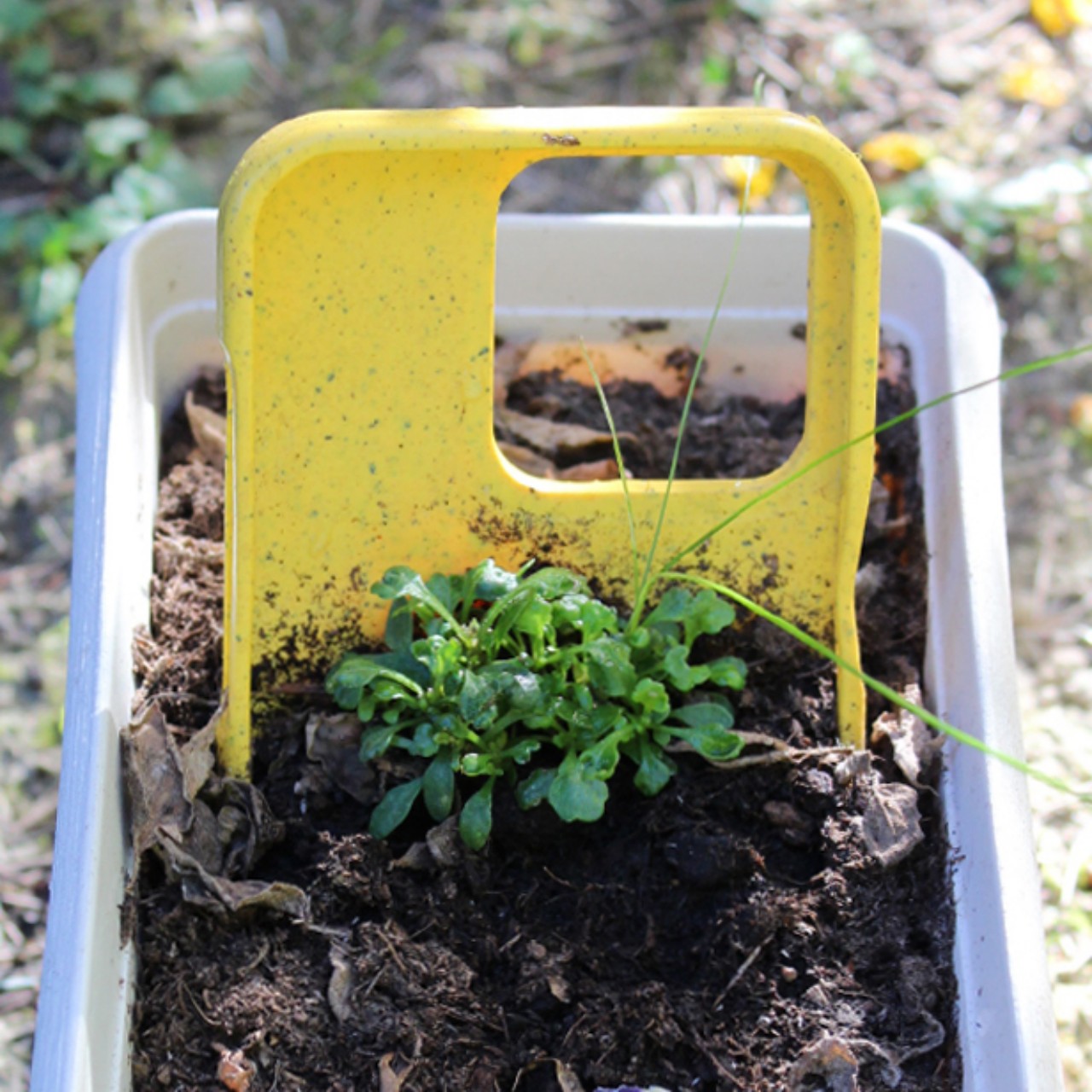 Mobile phone shell，compost，plant，Potted plants，