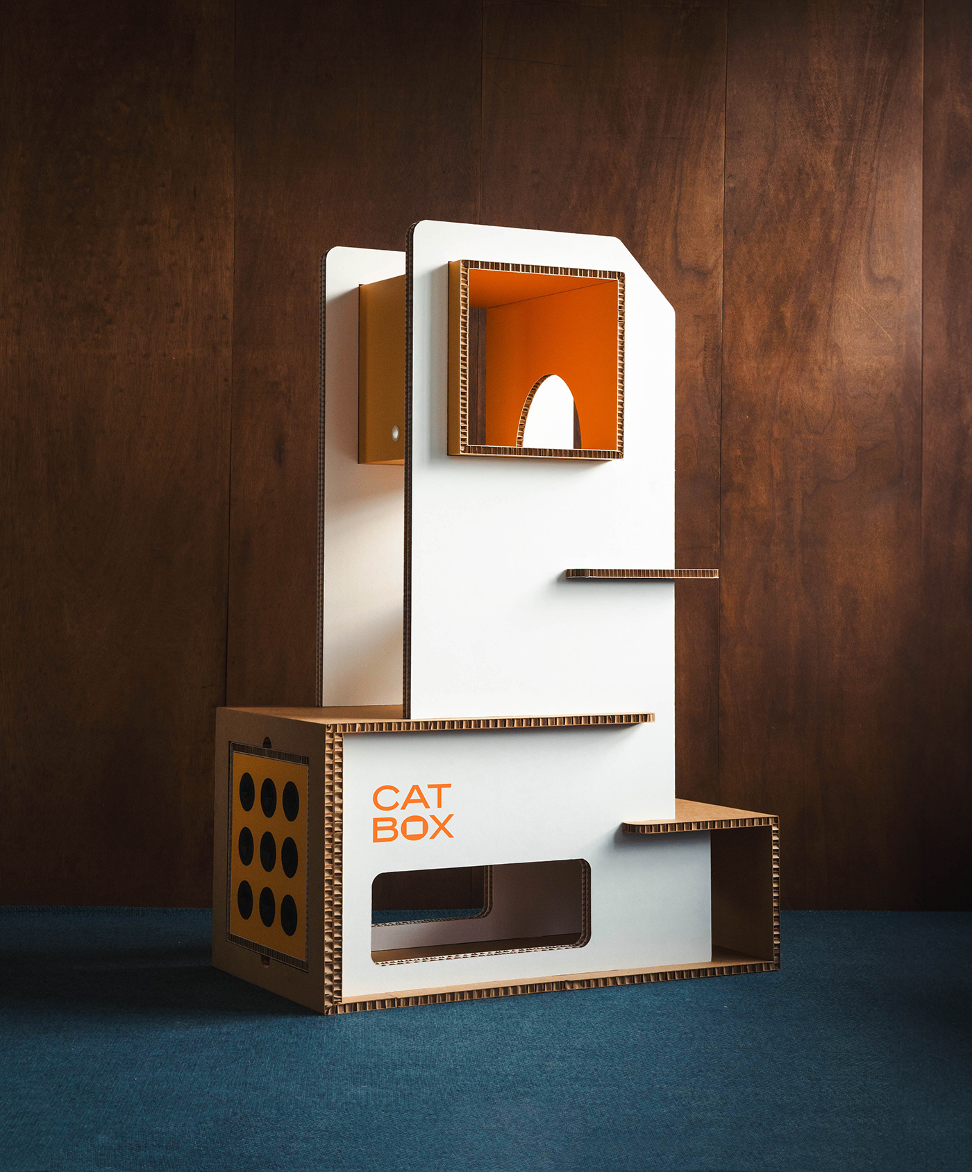 product design，furniture，industrial design，Box，cat，