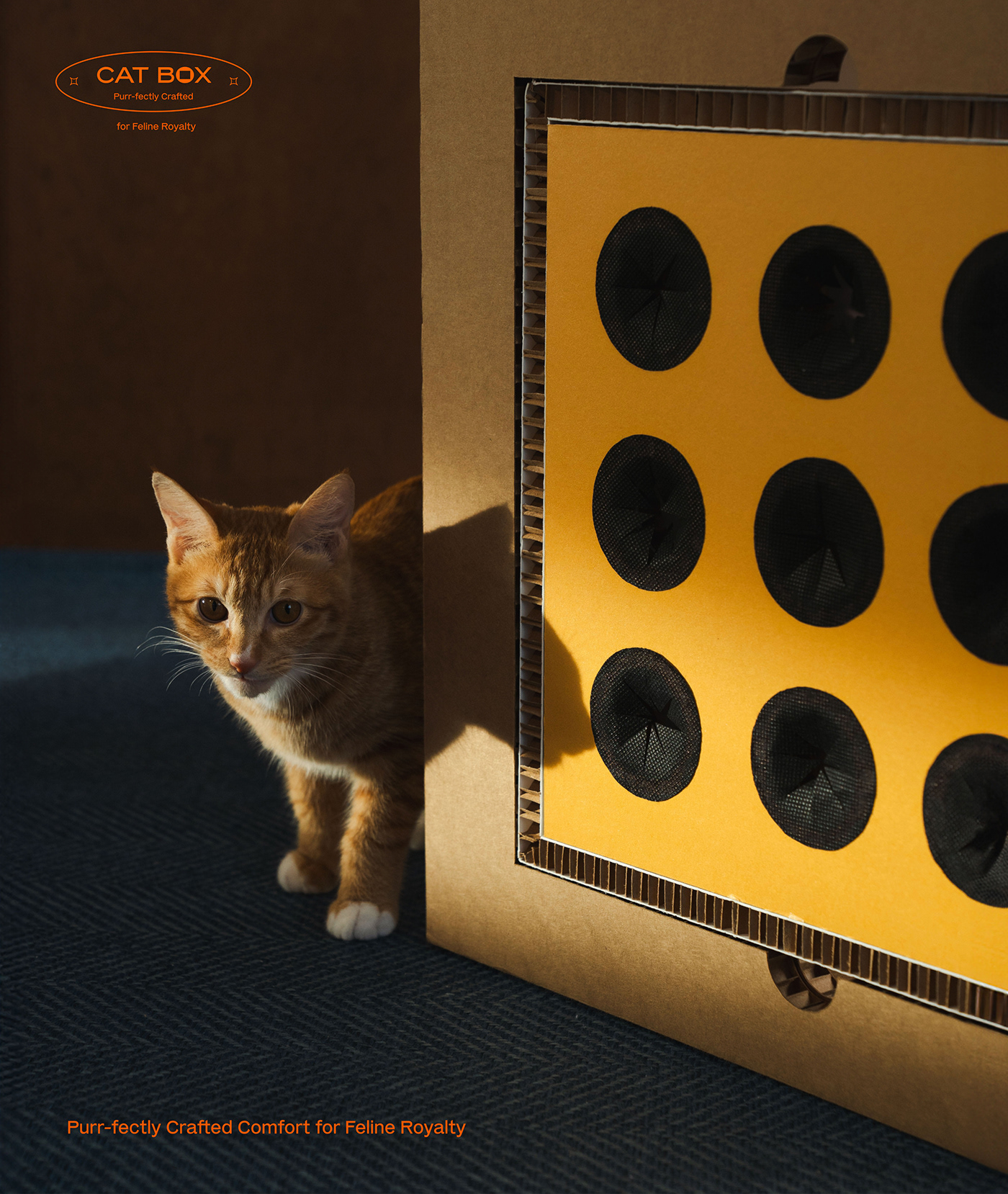 product design，furniture，industrial design，Box，cat，