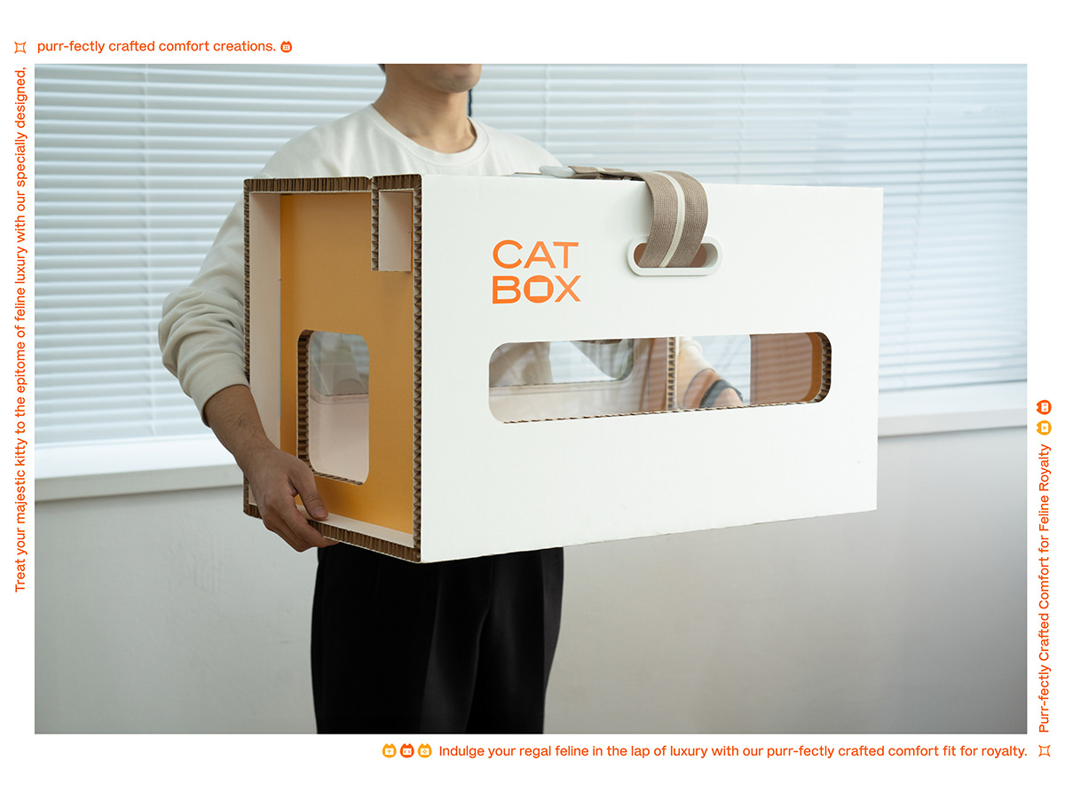 product design，furniture，industrial design，Box，cat，