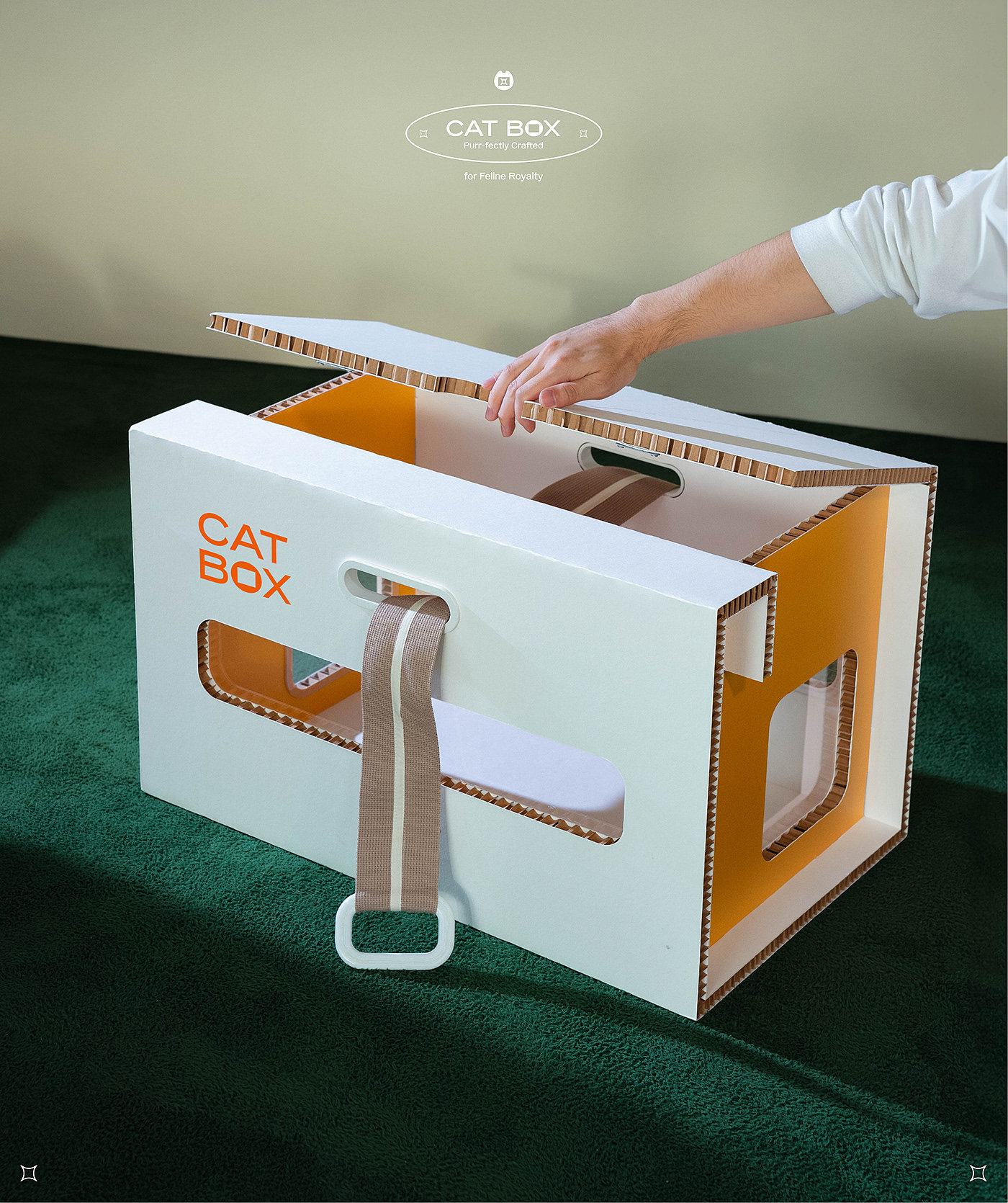 product design，furniture，industrial design，Box，cat，