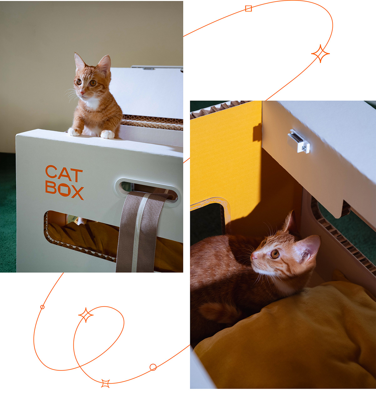 product design，furniture，industrial design，Box，cat，