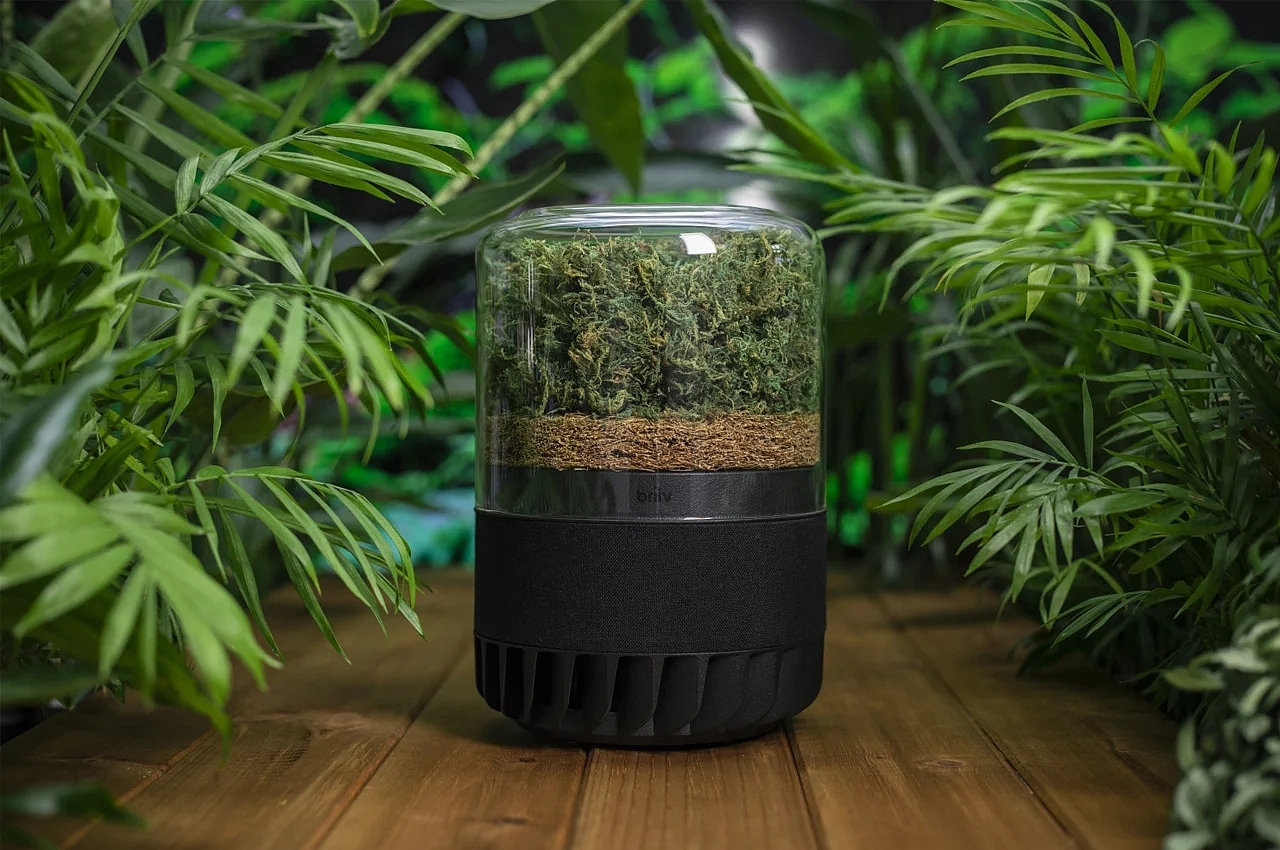Briiv Pro，Environmental protection purifier，small home appliances，originality，