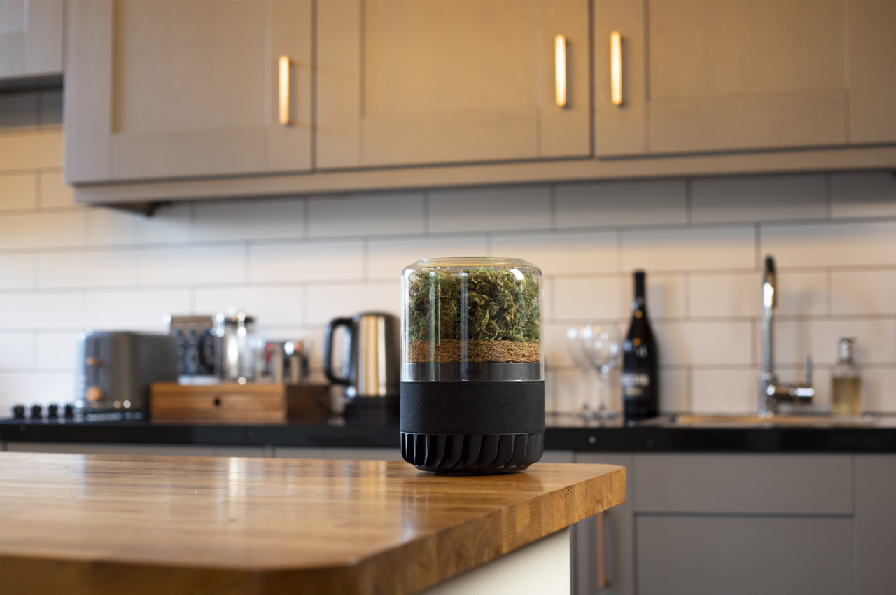 Briiv Pro，Environmental protection purifier，small home appliances，originality，