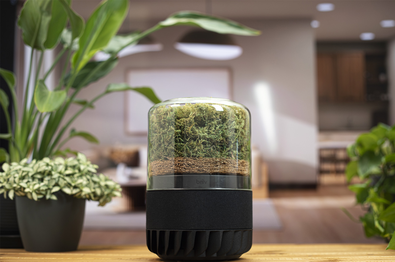 Briiv Pro，Environmental protection purifier，small home appliances，originality，