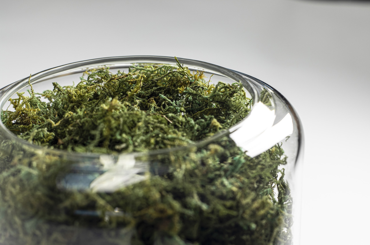 Briiv Pro，Environmental protection purifier，small home appliances，originality，