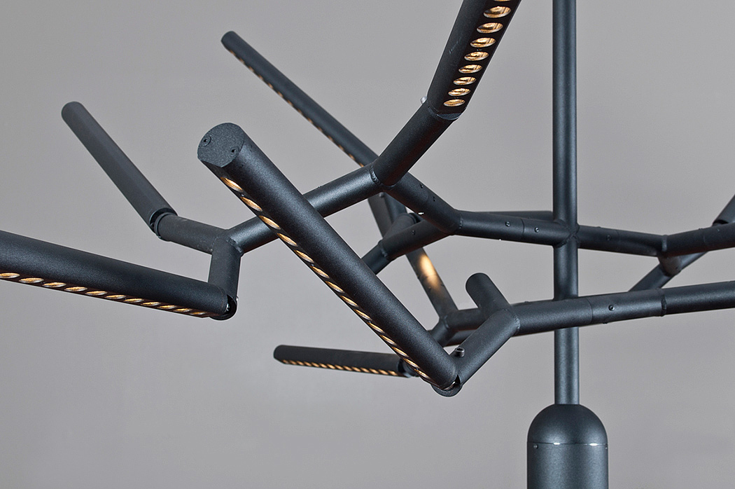 Branch，chandelier，a chandelier，