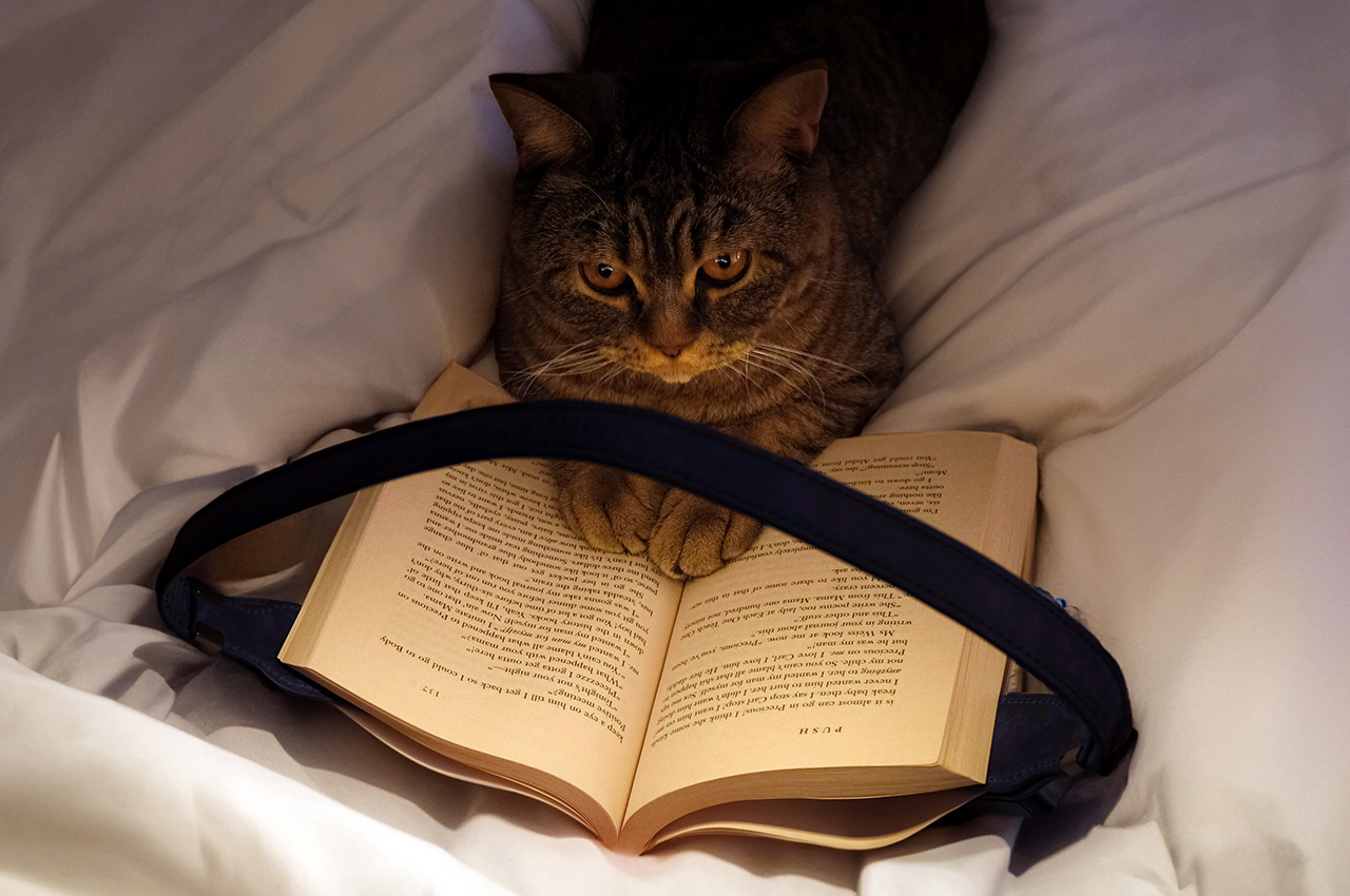 lamp，Reading lamp，product design，OLED，product，