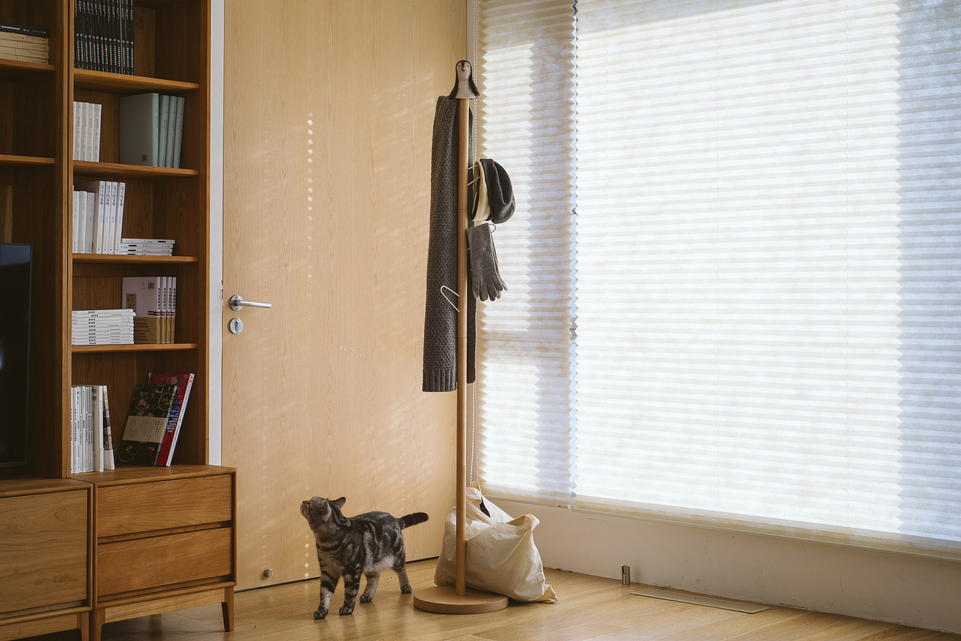 Furniture, hangers，