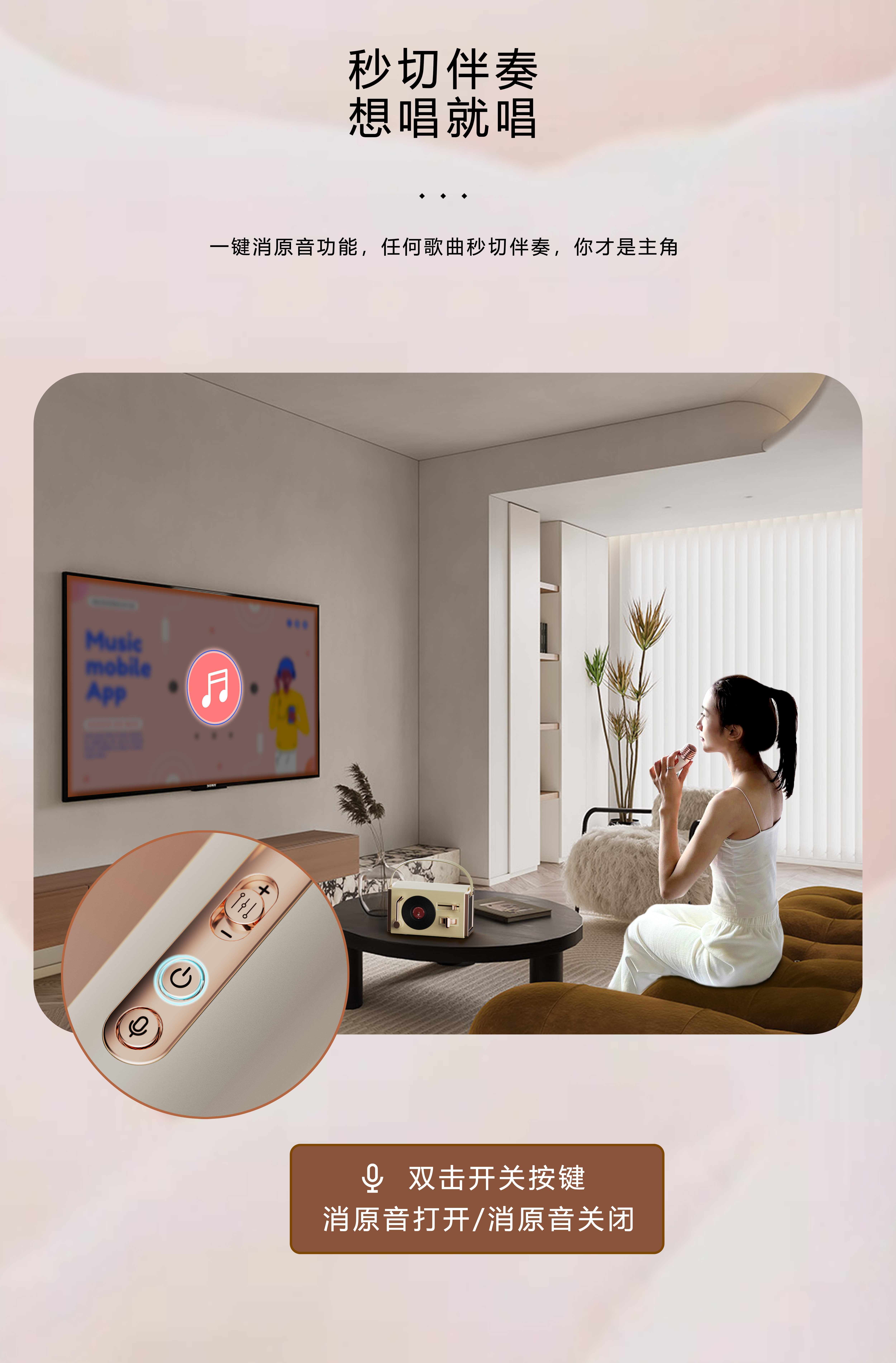 Microphone，Retro Bluetooth stereo，Bluetooth audio，Microphone，