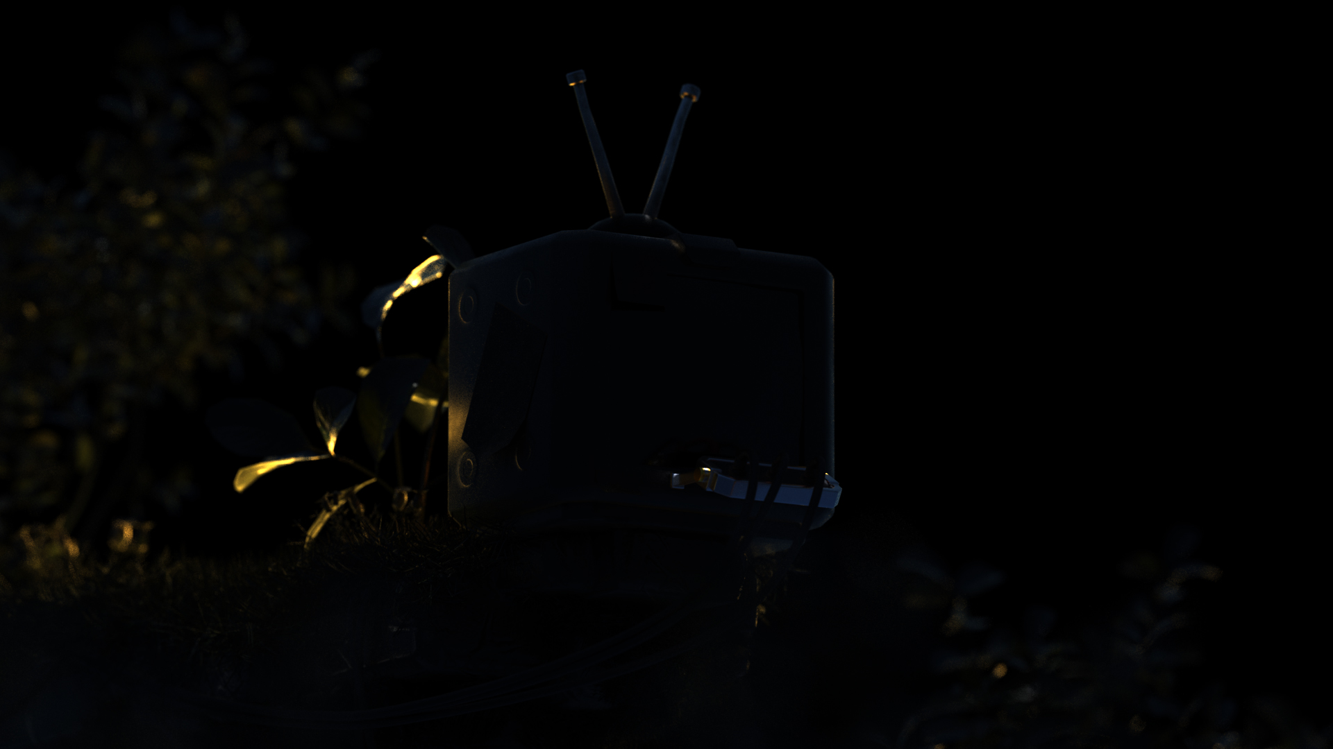 APOLLO，Ornaments，Image design，