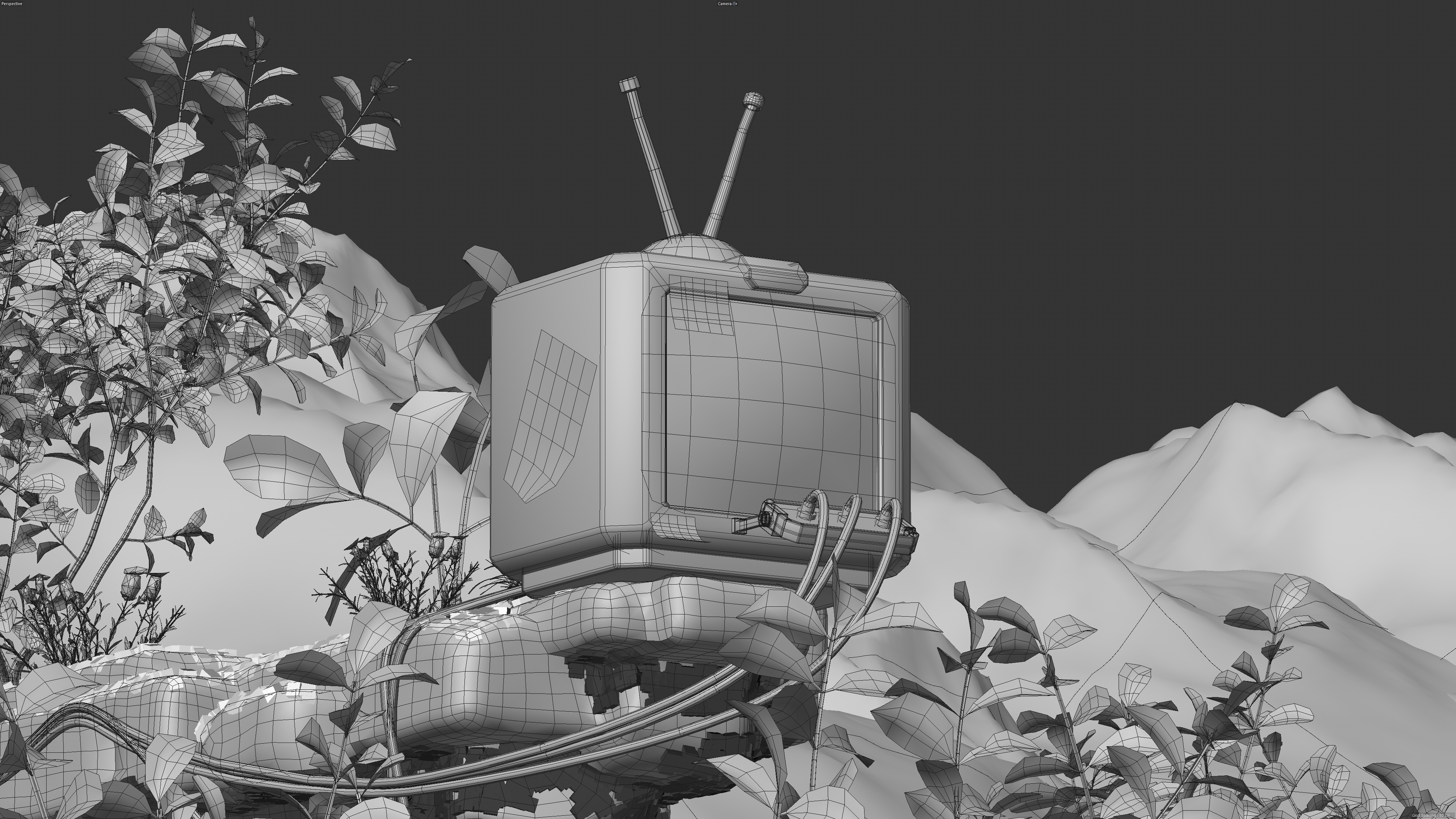 APOLLO，Ornaments，Image design，