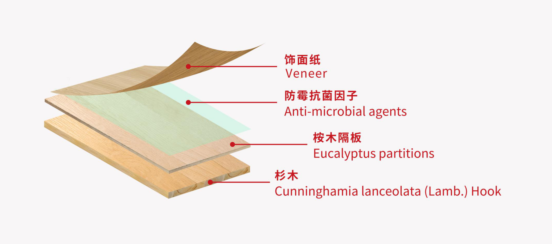 Original design，Red dot award，