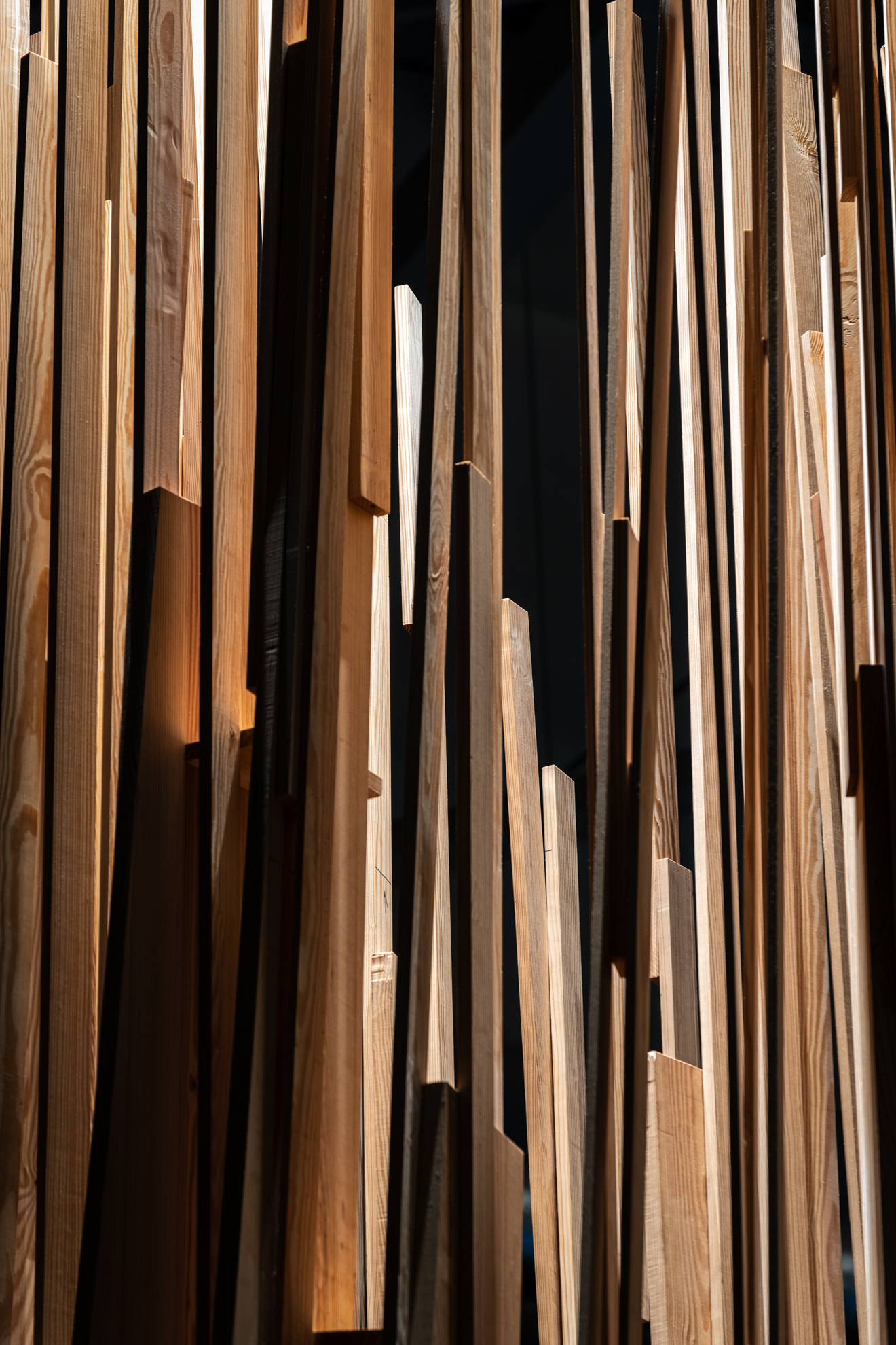 party，studio，environmental design，