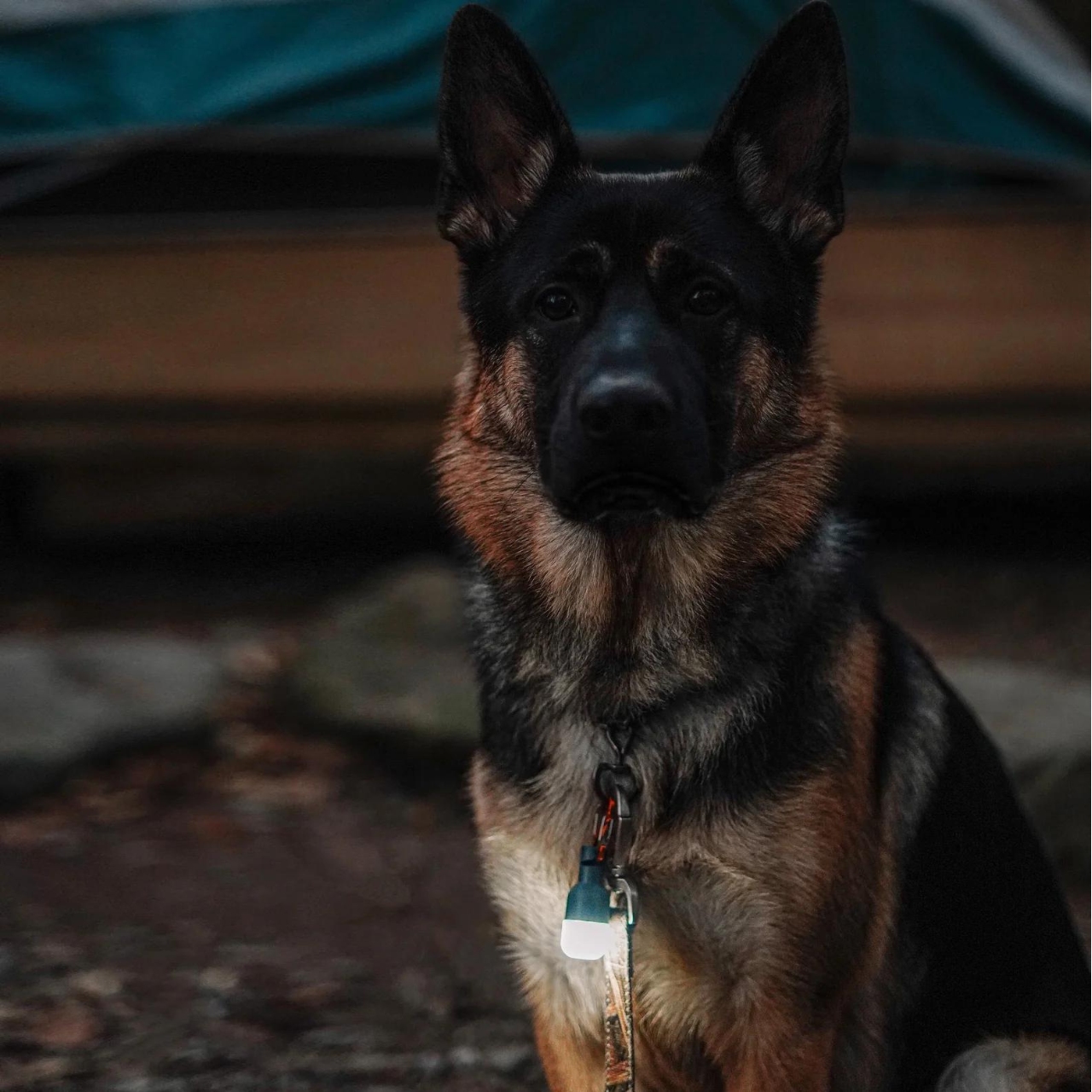 lamp，solar energy，lighting，