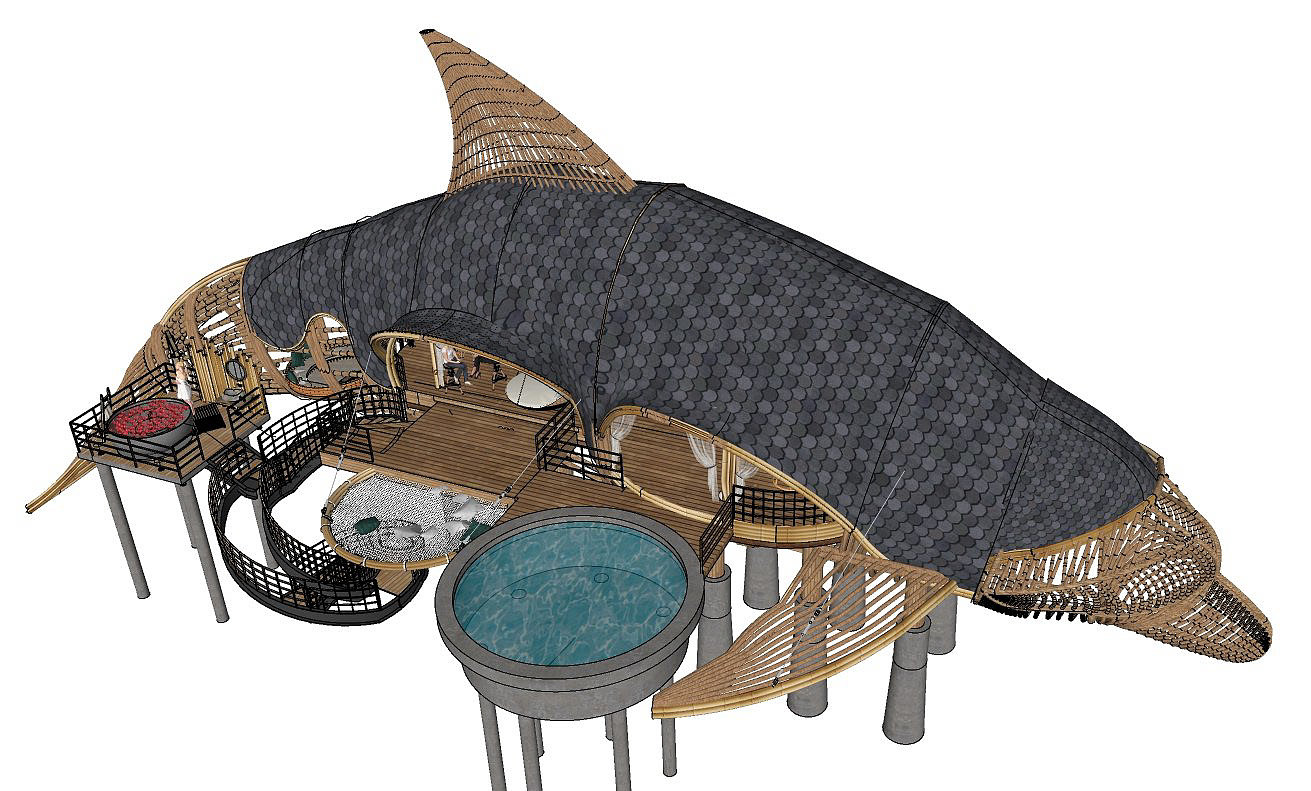 海豚，别墅区，概念图，