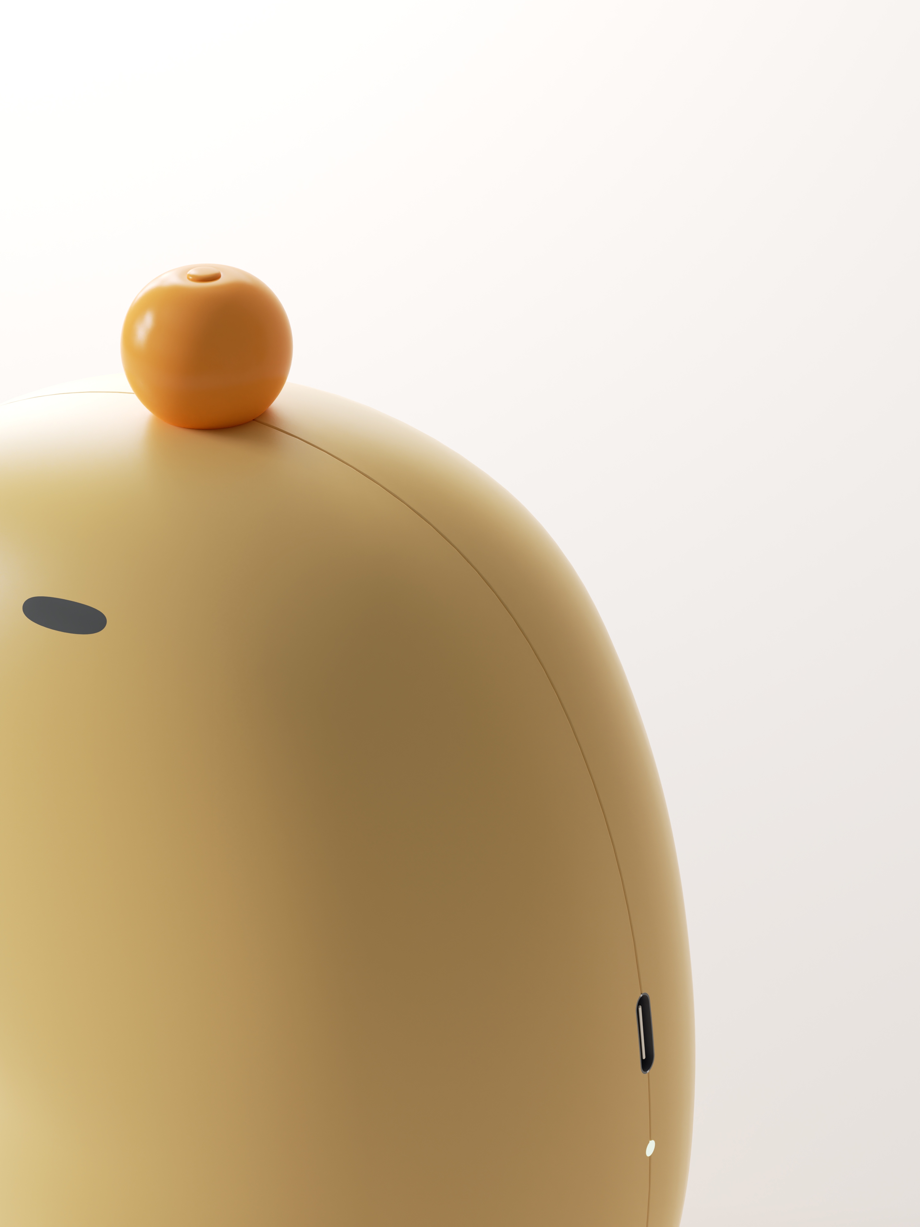 Kabi Barra，Capybara，Hand warmer，