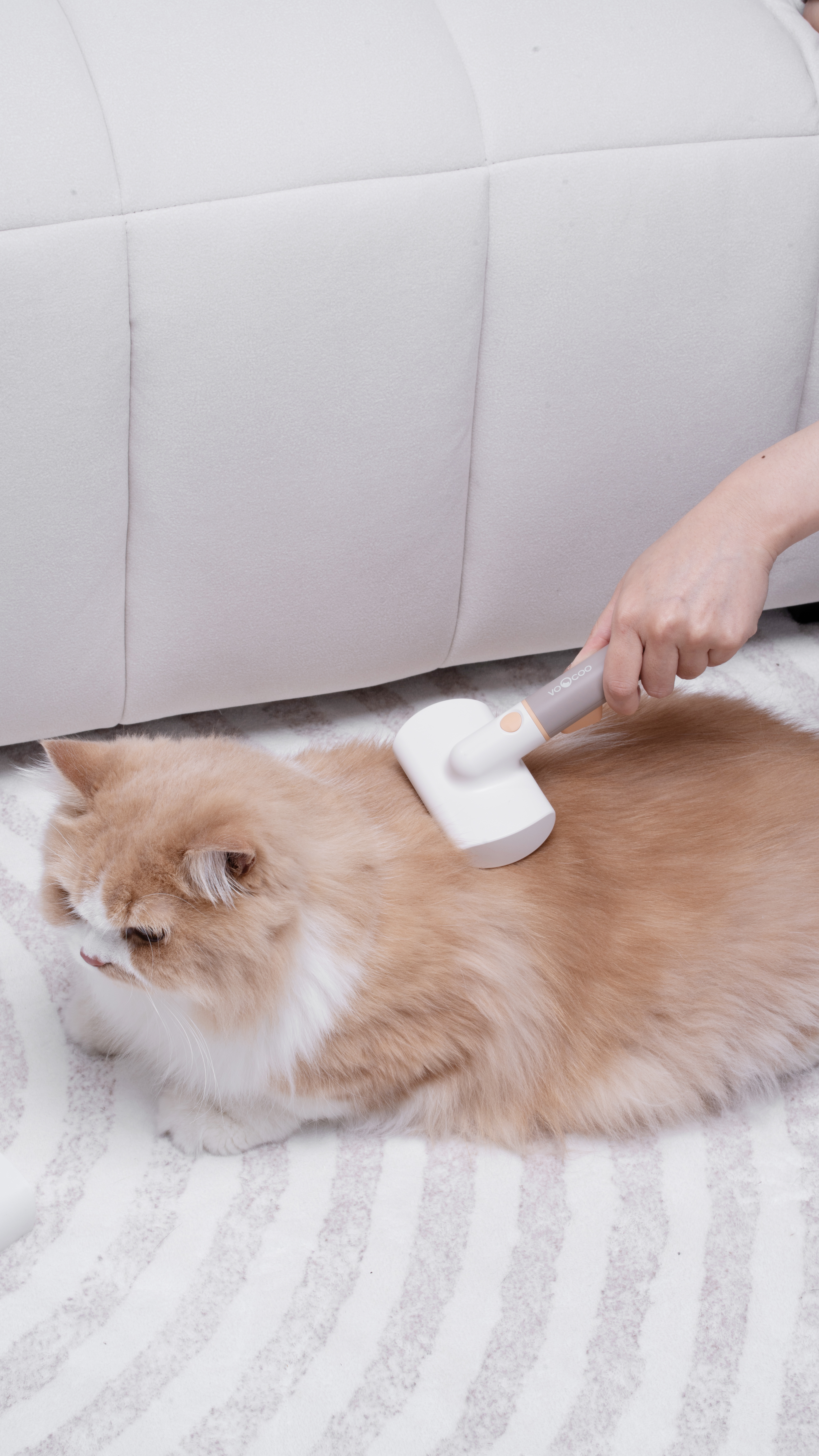 Pets，cat，dog，Pet Supplies & Pet，comb，multi-function comb，Pet comb，