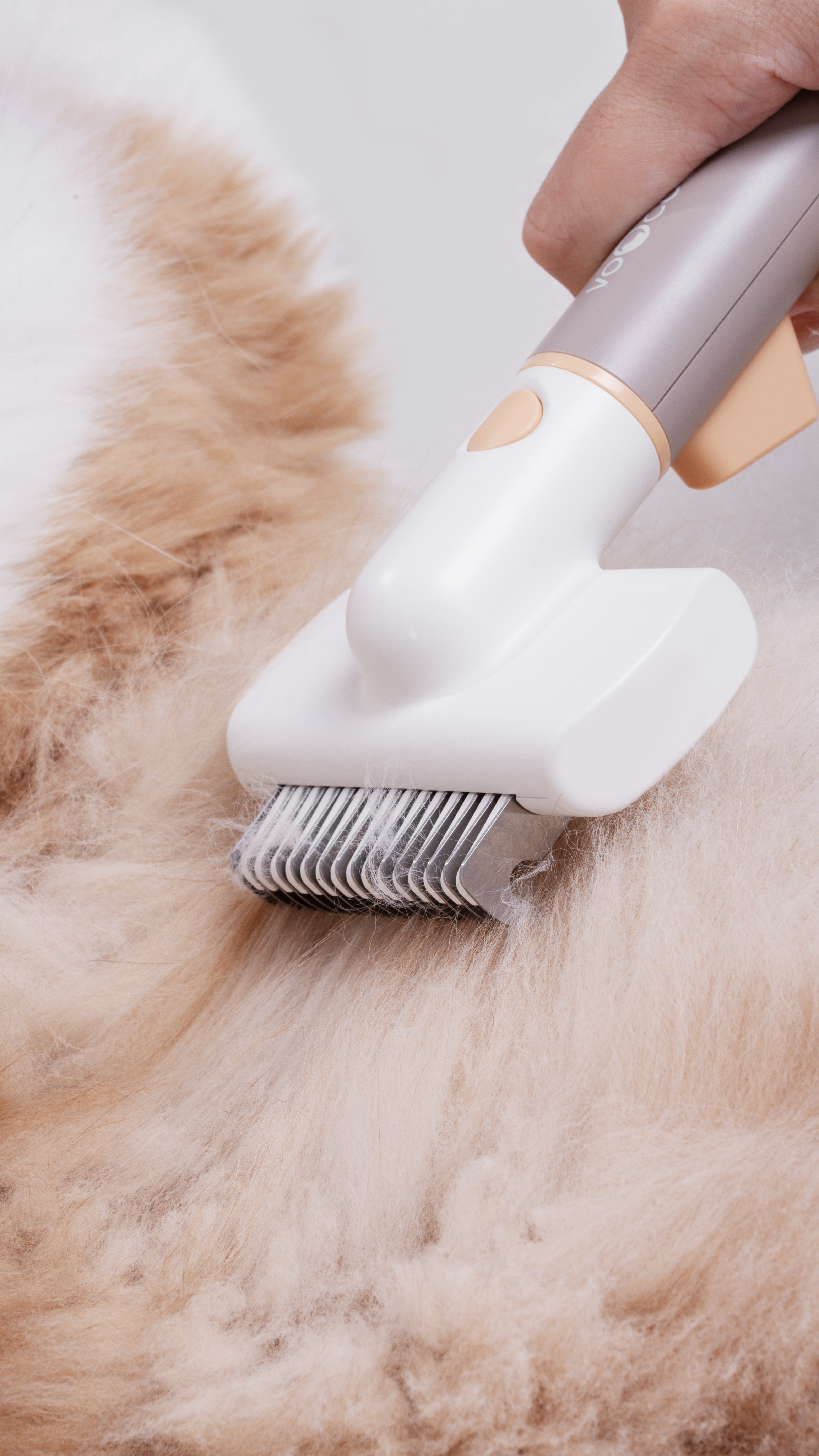 Pets，cat，dog，Pet Supplies & Pet，comb，multi-function comb，Pet comb，