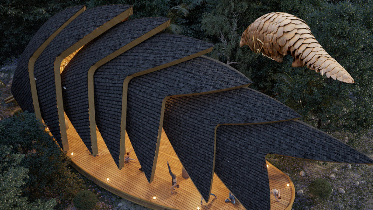 bamboo structure，Pangolin，similar shape，space，