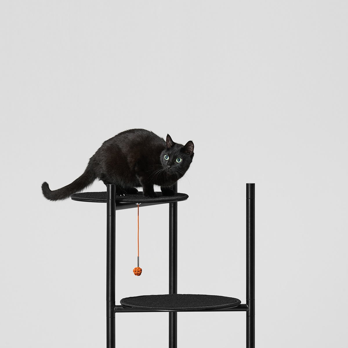 Three Poles，Cat climbing frame，Pet Supplies & Pet，originality，