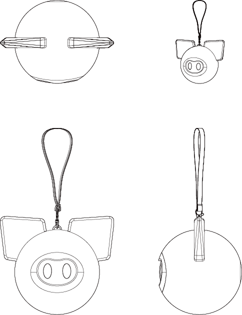 Rhinitis，Rhinitis instrument，children，animal，