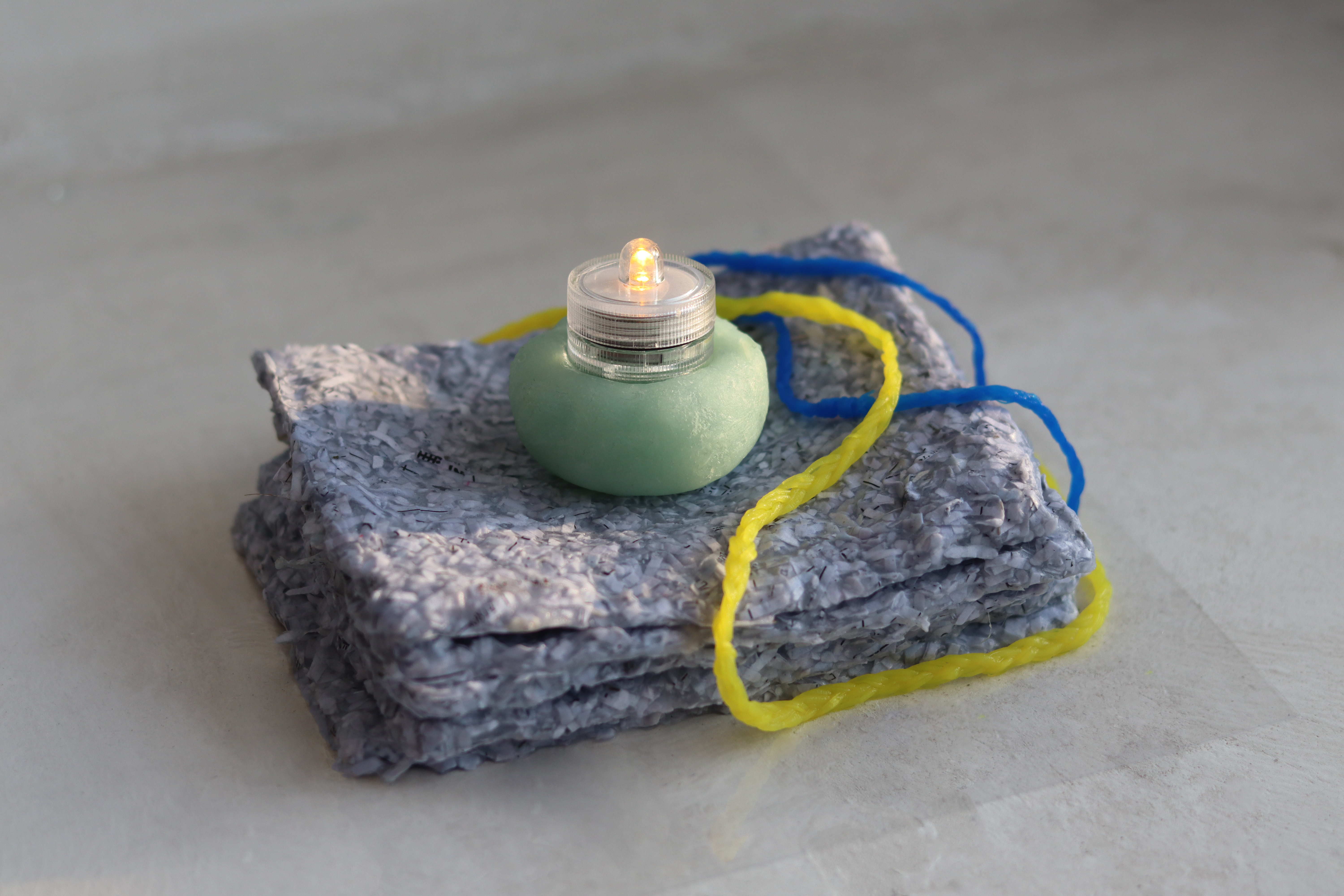 sustainable，seaweed，green，