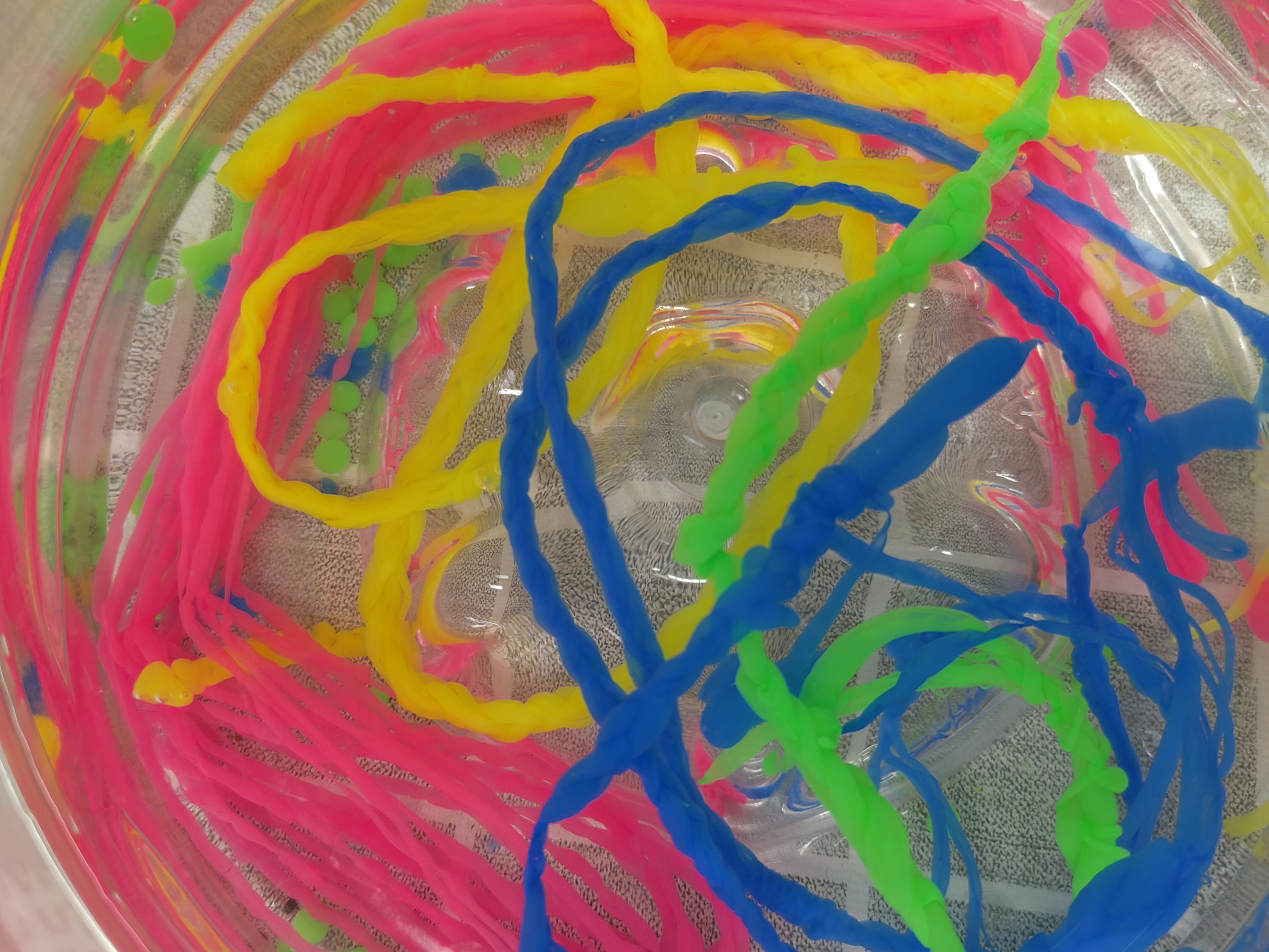 sustainable，seaweed，green，