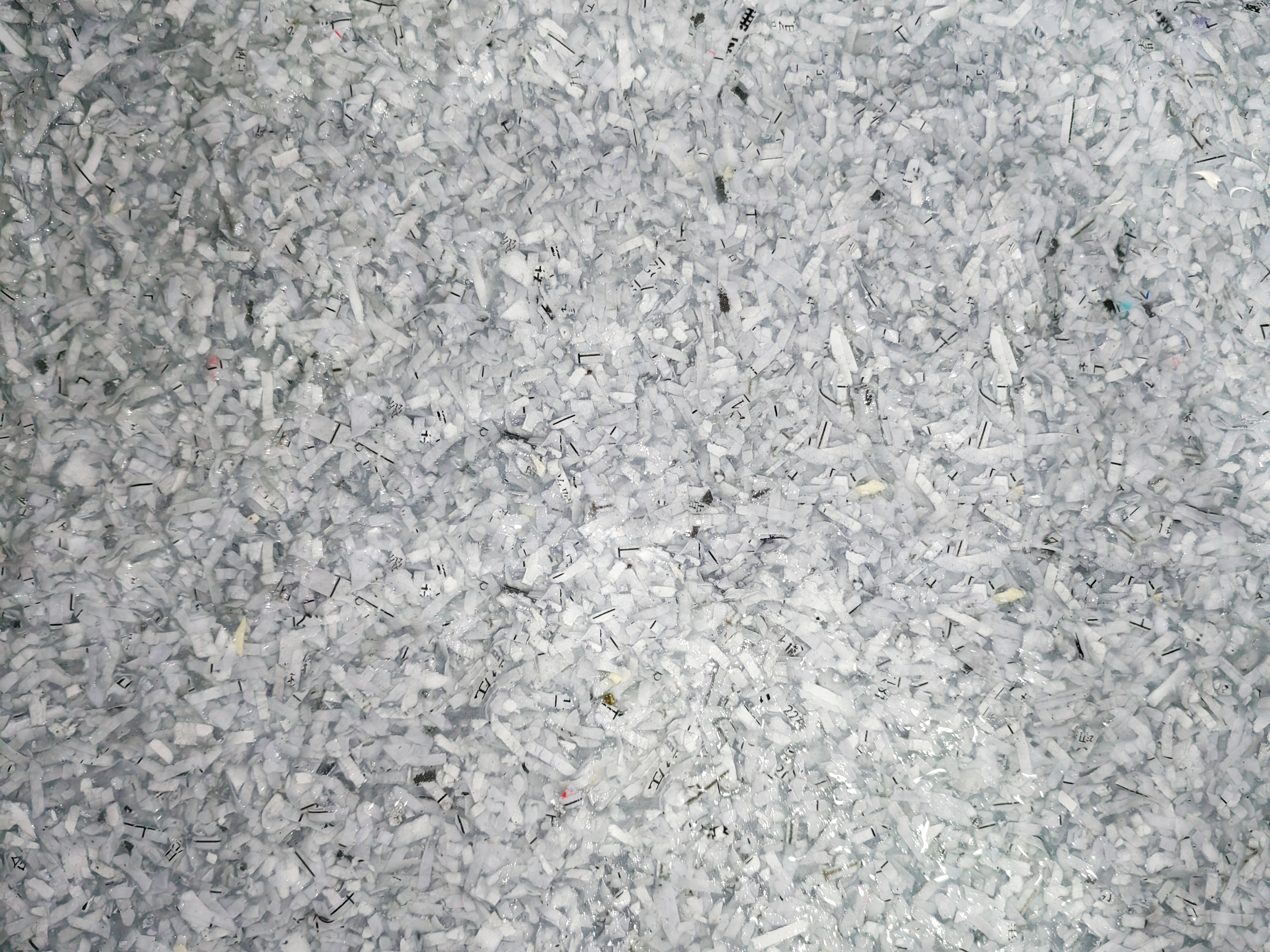 sustainable，seaweed，green，